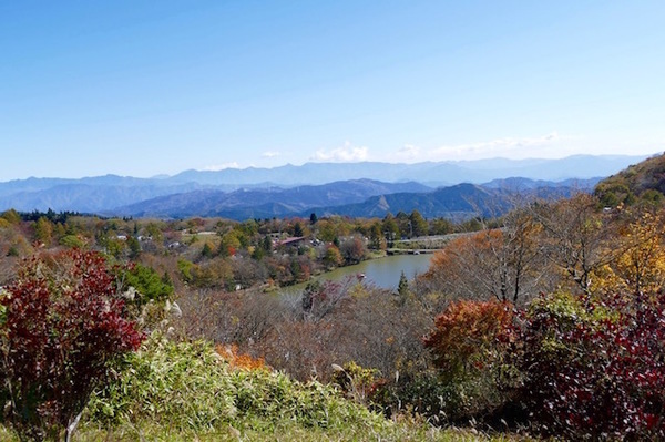 紅葉の茶臼山高原を散策しました 愛知県北設楽郡豊根村 浜名湖畔の花情報